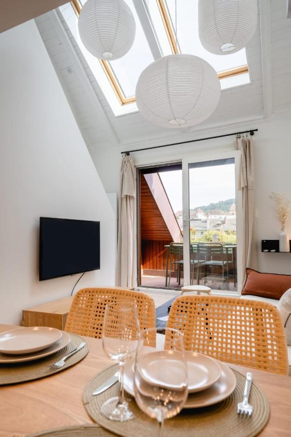 Le Duplex Vaugelas Atypique En Plein Centre Ville Annecy Ngoại thất bức ảnh