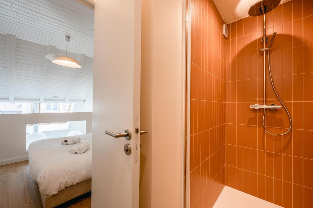 Le Duplex Vaugelas Atypique En Plein Centre Ville Annecy Ngoại thất bức ảnh