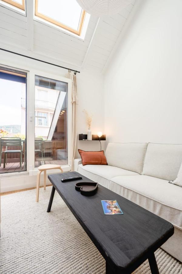 Le Duplex Vaugelas Atypique En Plein Centre Ville Annecy Ngoại thất bức ảnh
